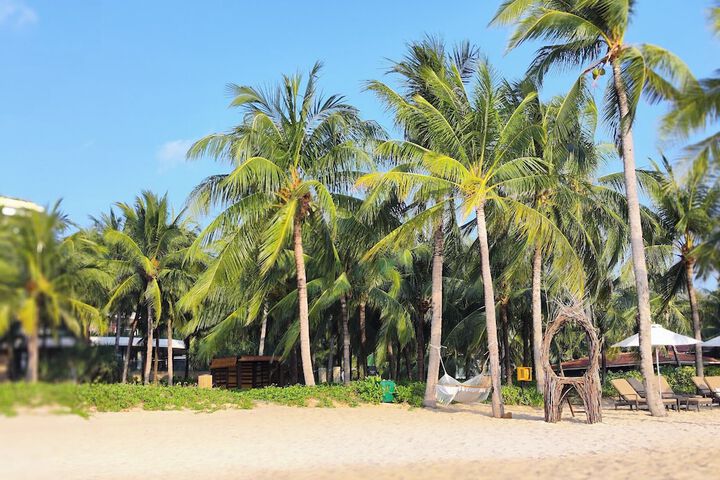 Beach 70 of 70