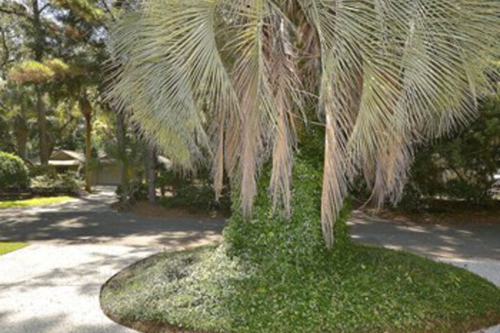 Property Grounds 7 of 8