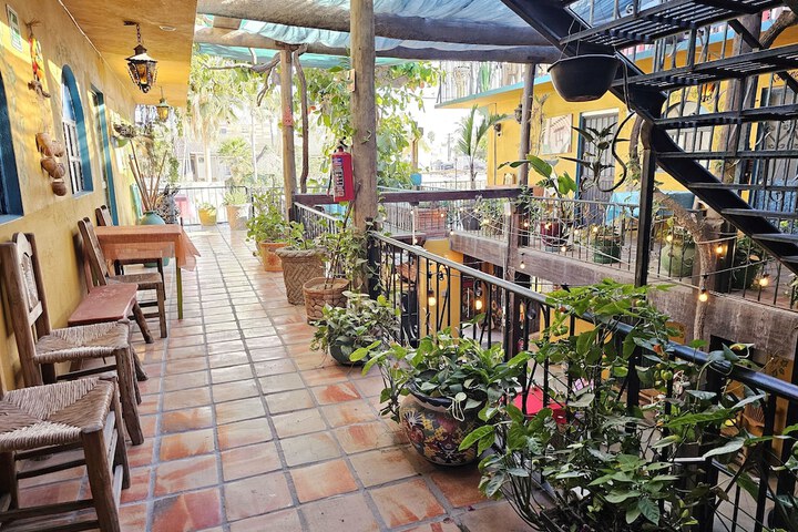 Terrace/Patio 37 of 41