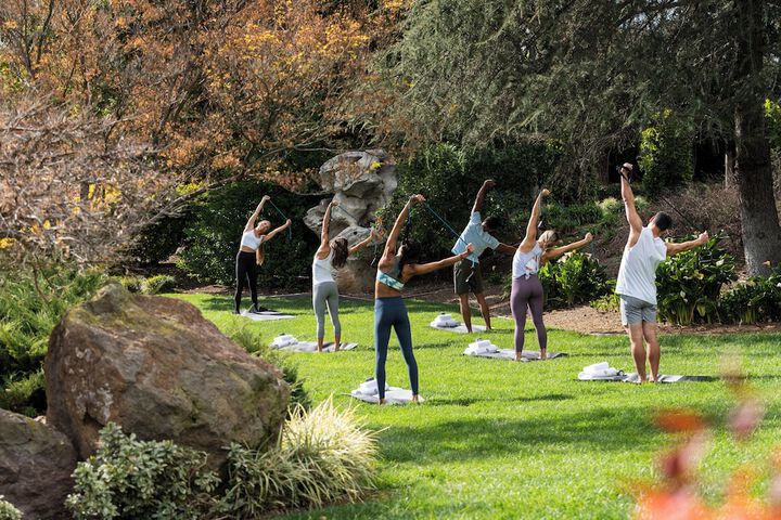 Yoga