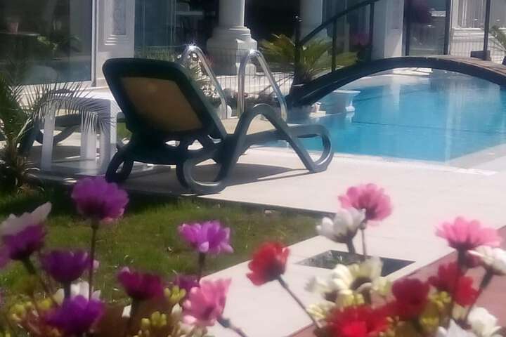 Pool 45 of 67
