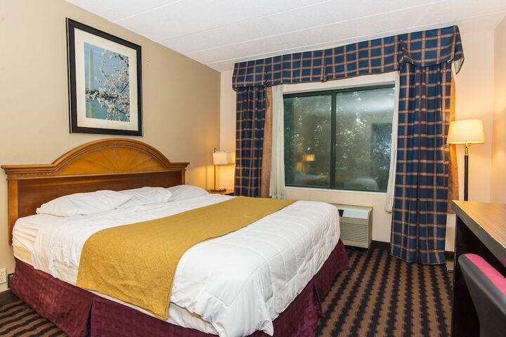 Standard | King Bed (5 of 9)