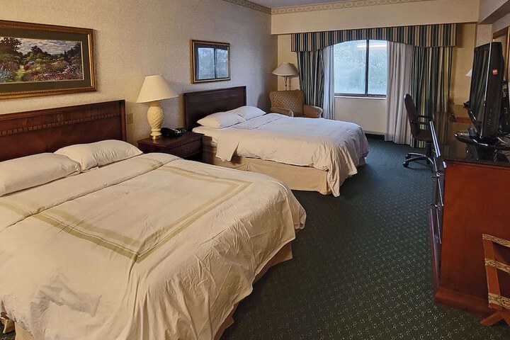 2 Double Beds Accessible (4 of 6)