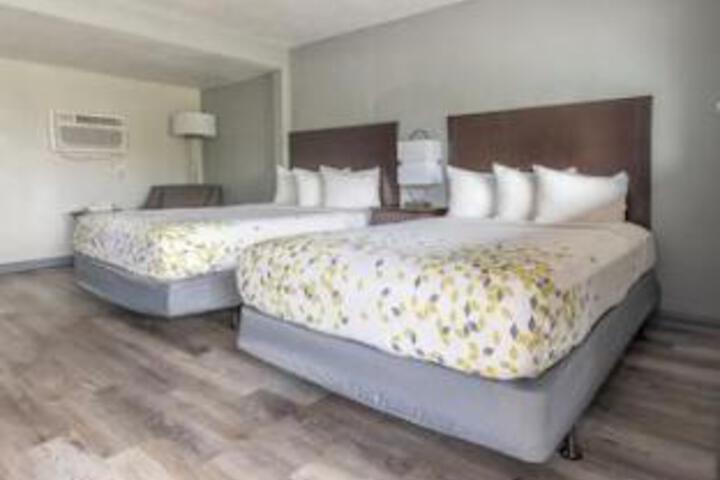 Premium 2 Queen Beds (12 of 18)