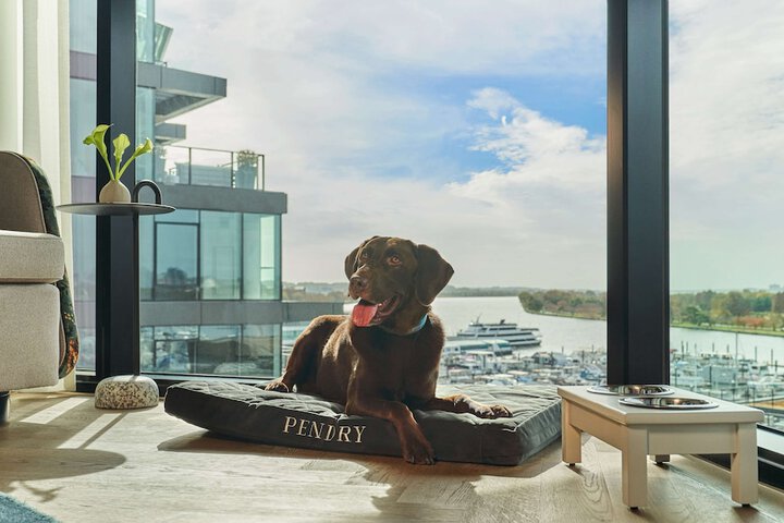 Property Grounds 78 of 84