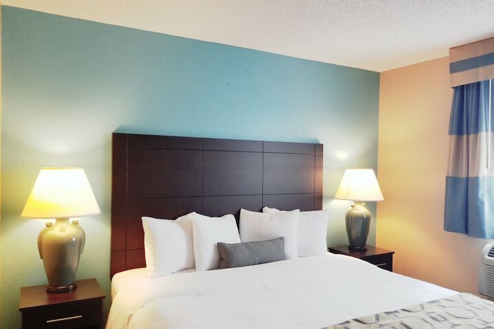 1 King Bed (7 of 11)