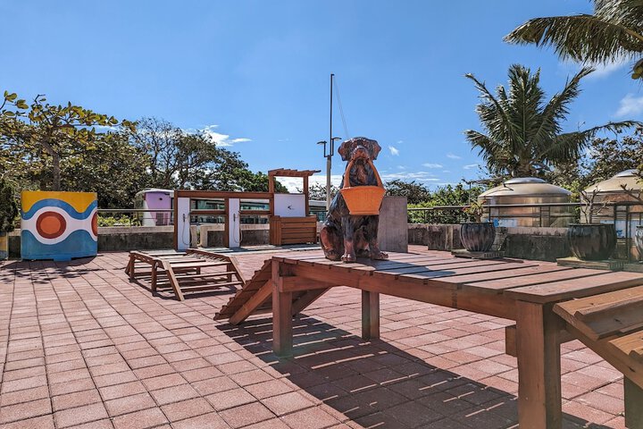 Pet-friendly