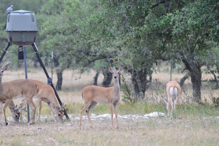 Hotel View 441 of 459