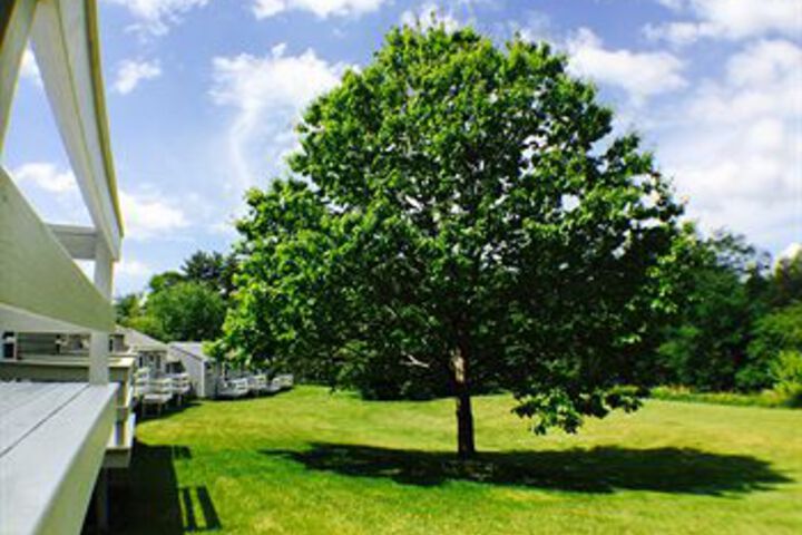 Terrace/Patio 2 of 18