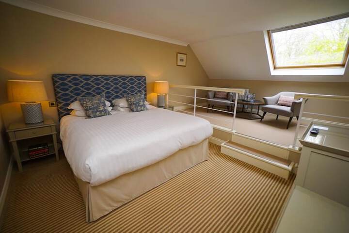 Room 8 of 50