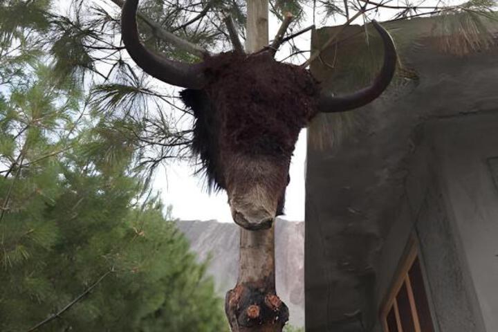 Passu Tourist Lodge