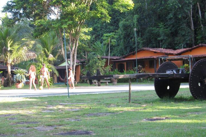 Photo 15