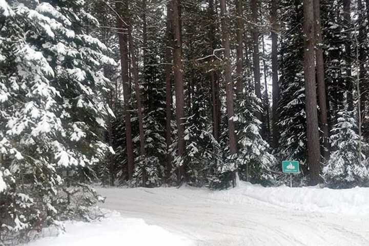 Property Grounds 80 of 104