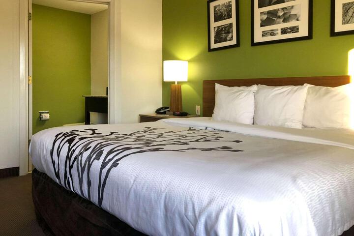 1 Double Bed Accessible (9 of 12)