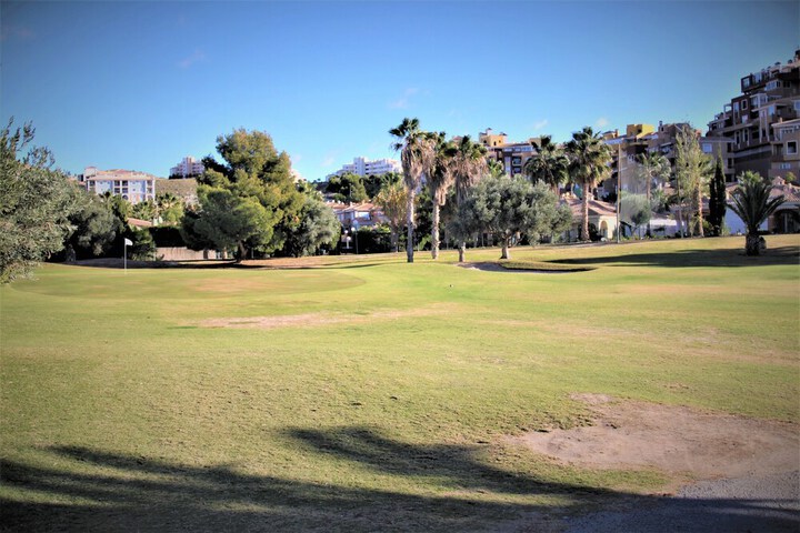 Golf 26 of 38