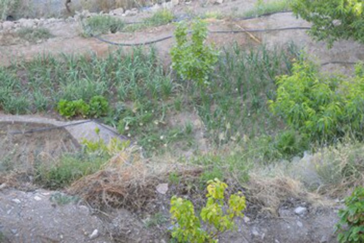 Property Grounds 13 of 23