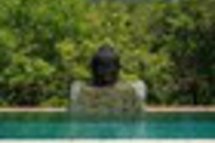 Pool 62 of 162
