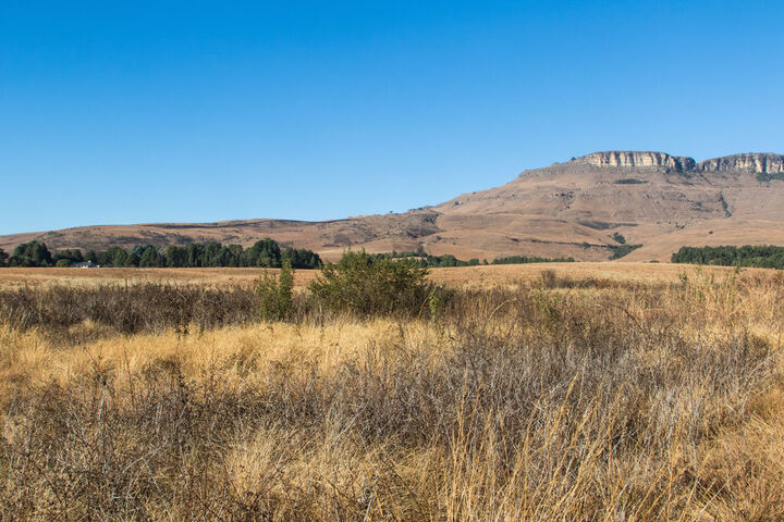 Property Grounds 79 of 92