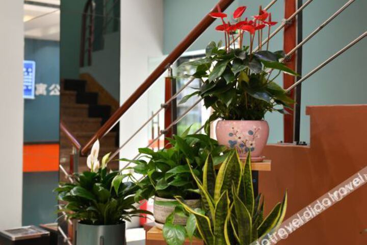 Hotel Interior 11 of 22