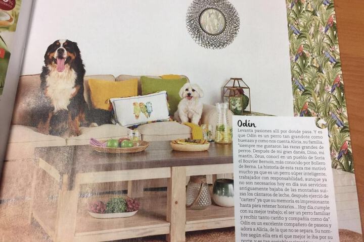 Pet Friendly 20 of 68
