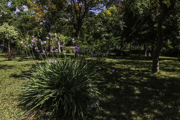 Property Grounds 72 of 94