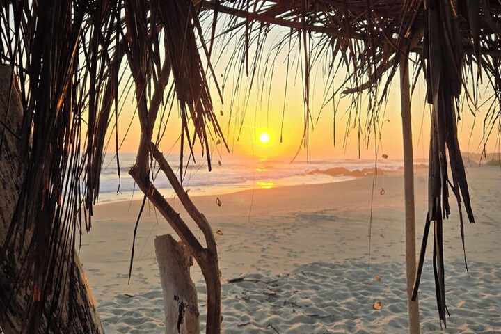 Beach 94 of 229