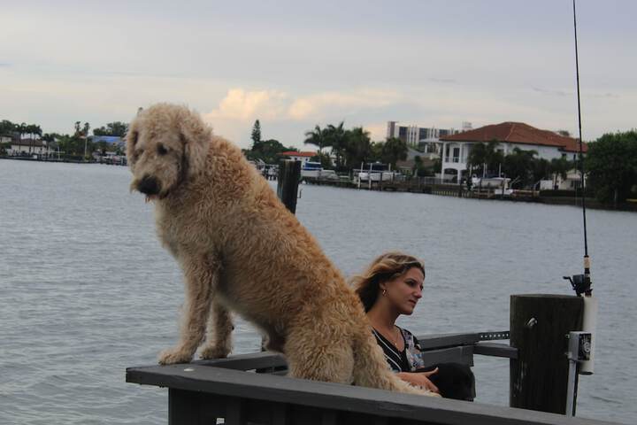 Pet Friendly 31 of 80