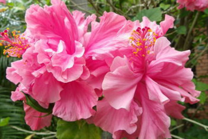 Hotel Exterior 9 of 26