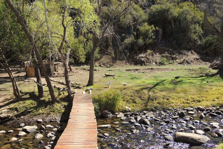 Health and Fitness 35 of 52