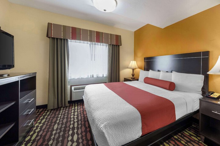 1 King Bed Pet Friendly Room High Speed Internet Accessible Microwave and Refrigerator Full (14 of 15)