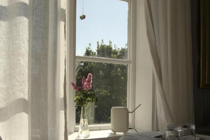 Photo 29