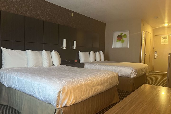 2 Queen Beds Microwave and Refrigerator WiFi Full Breakfast (8 of 11)