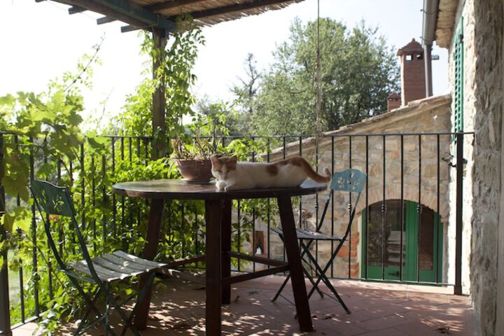 Terrace/Patio 20 of 36