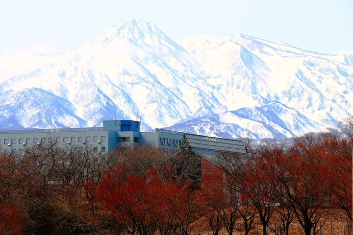 PASTORALE MYOKO