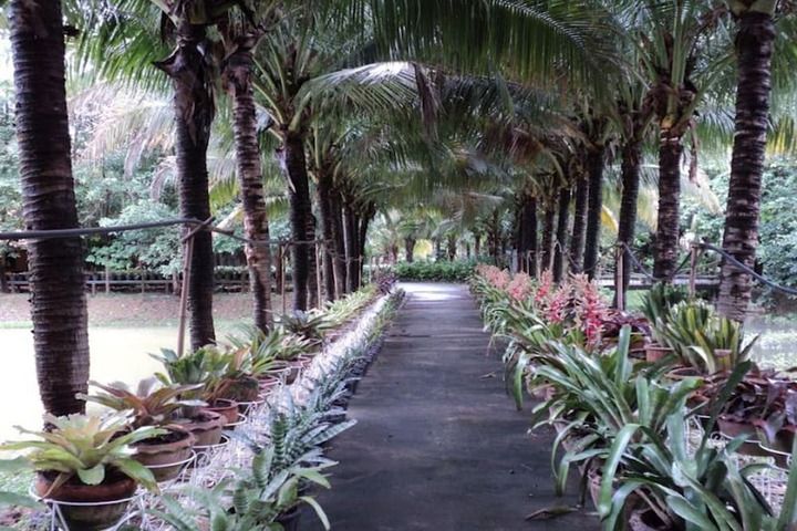 Property Grounds 24 of 31