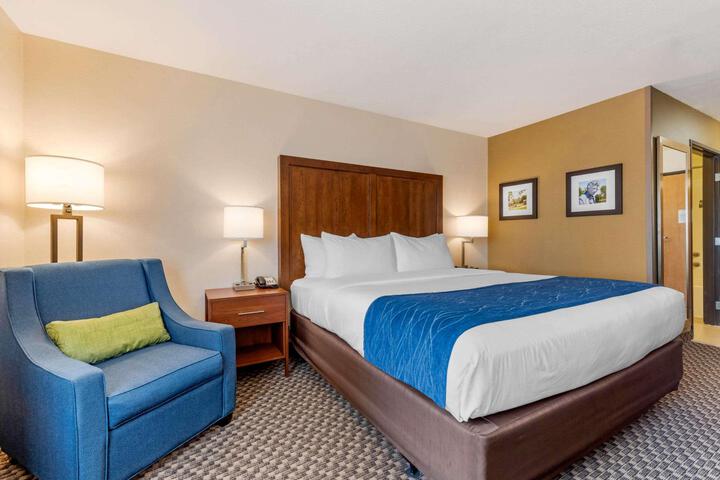 1 King Bed (7 of 19)