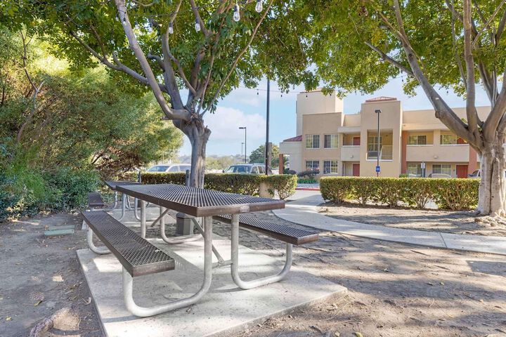 BBQ/picnic area