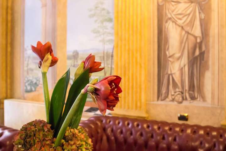 Lobby Photos