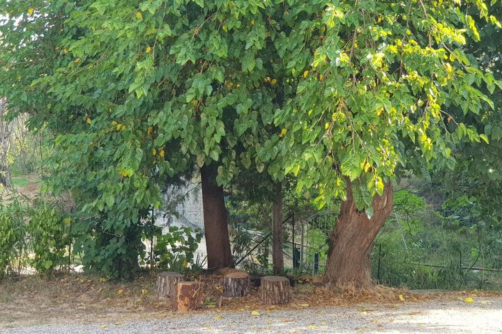 Property Grounds 15 of 33