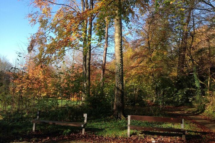 Property Grounds 38 of 48
