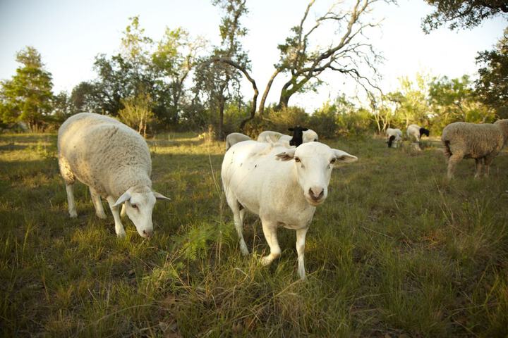 Childrens Activities 45 of 55