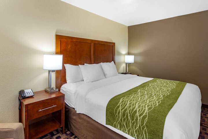 1 King Bed (15 of 22)