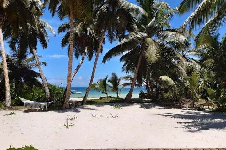 Beach 48 of 54