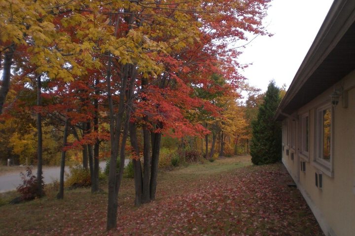 Property Grounds 14 of 20
