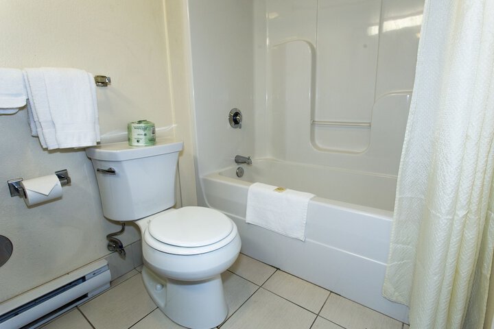 1 King Bed Suite (5 of 8)