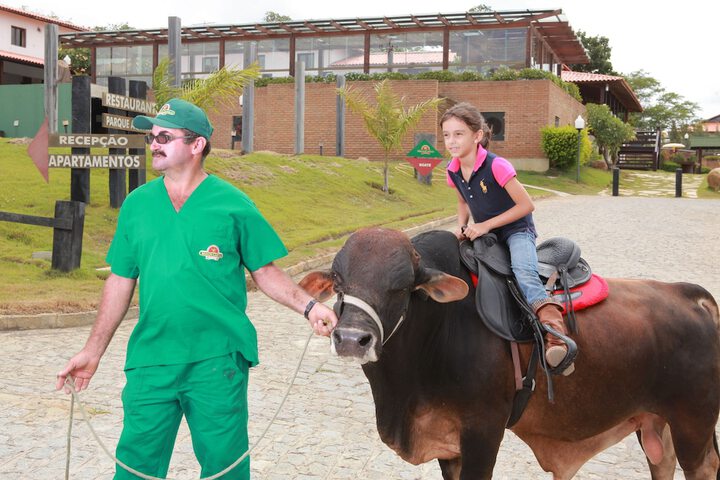 Horseback riding