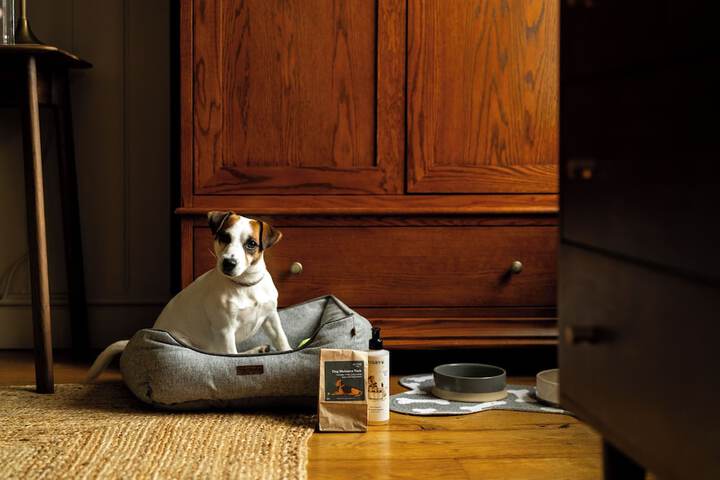 Pet Friendly 40 of 66