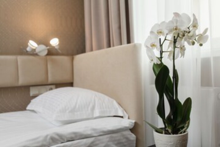 Room 51 of 76