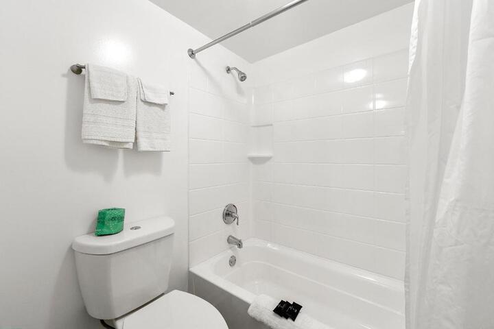 Premium Studio 1 King Bed Kitchenette (11 of 16)