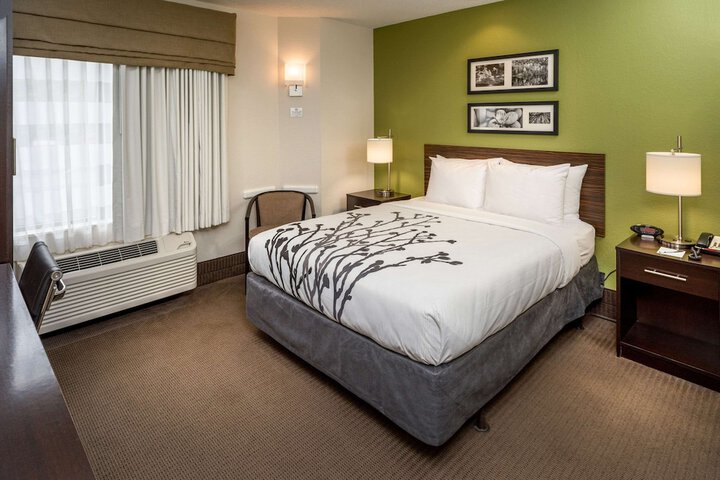 1 Queen Bed Accessible (6 of 13)